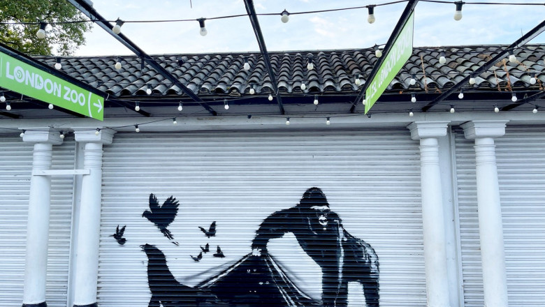 Banksy elibereaza animalele de la Gradina Zoologica din Londra, intr-o lucrare care incheie seria de picturi murale Imagine