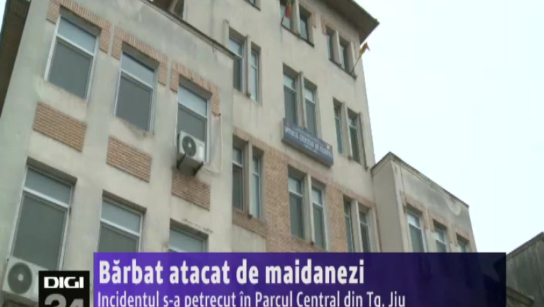 Barbat atacat de maidanezi. Incidentul s-a petrecut in Parcul Central din Tg. Jiu Imagine