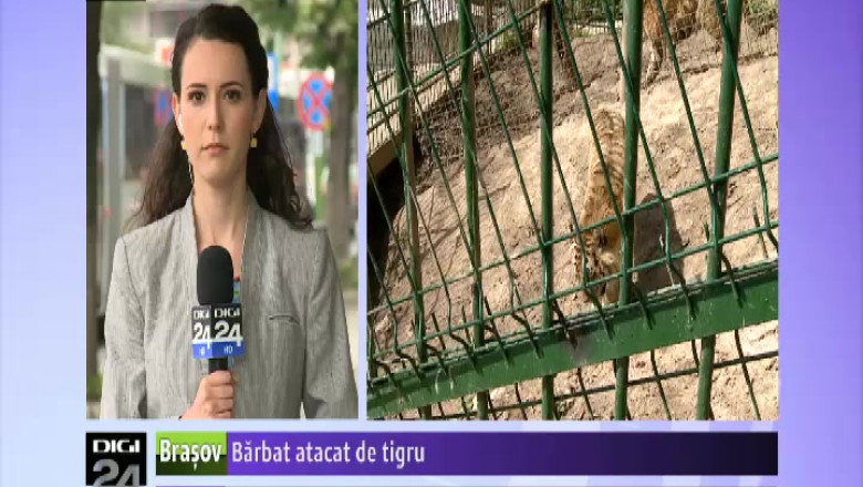 Barbat atacat de tigru Imagine