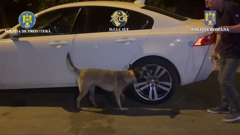 Barbat retinut dupa ce a fost prins in flagrant cu un kilogram de cocaina la Nadlac. Drogurile, descoperite de un caine antrenat Imagine