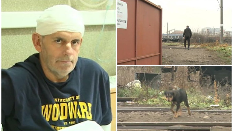 Barbatul muscat de caini si plin de cicatrici se externeaza: cere daune morale de un milion de euro Imagine