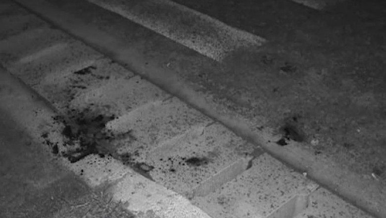 Bataia de la Buzias. Marturii despre cele intamplate: ”i-au dat in cap, unde au apucat, au bagat furca in el” Imagine