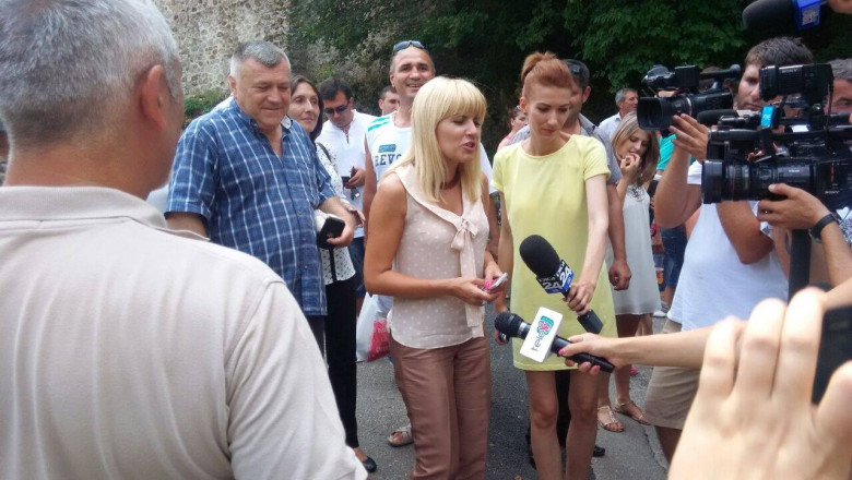 Batalia pentru prezidentiabilul PMP continua. Mesajul Elenei Udrea pentru Cristian Diaconescu Imagine