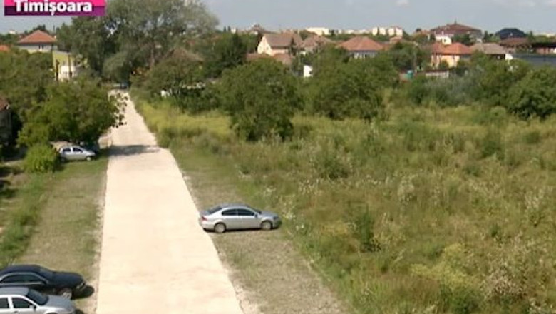 Bazin de inot "inecat" in buruieni, la Timisoara Imagine