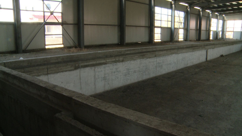 Bazin olimpic, abandonat  Imagine