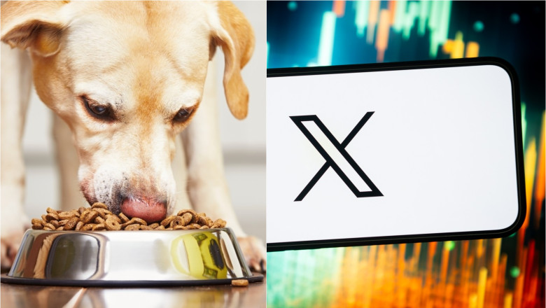 BBC: Droguri de sute de ori mai letale decat heroina sunt ascunse in mancarea pentru caini si vandute de traficanti pe X Imagine