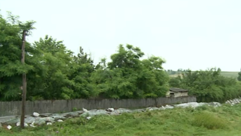 Beiu, satul prin care premierul s-a plimbat cu barca, va avea dig impotriva inundatiilor Imagine