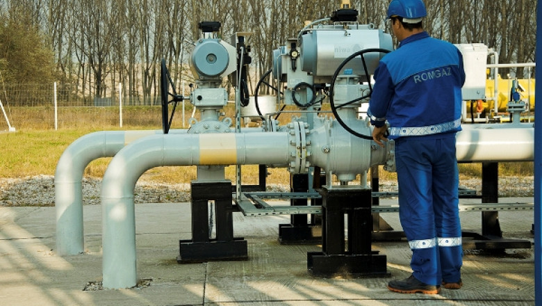 BERD a devenit actionar la Romgaz, platind 50 de milioane de euro pentru 2% din actiuni Imagine