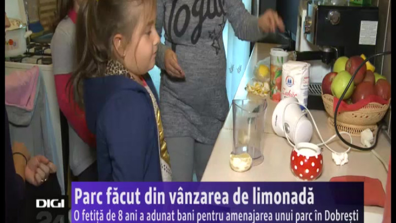 BIHOR. Parc facut din vanzarea de limonada Imagine