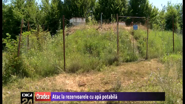 BIHOR. Un crescator de animale, acuzat ca a furat apa din reteaua a doua comune Imagine