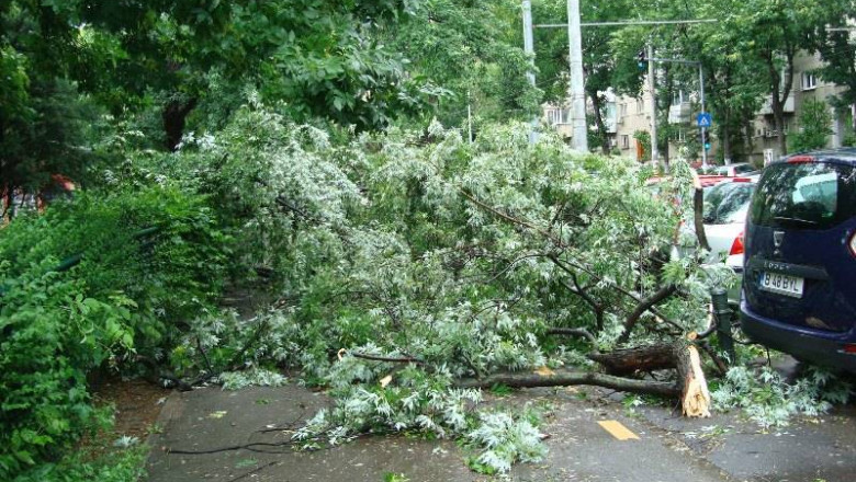 Bilantul furtunii din Bucuresti: masini avariate si copaci culcati la pamant Imagine