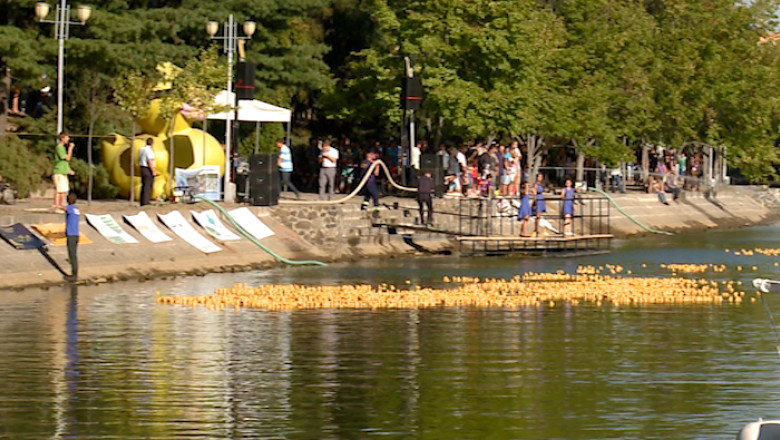 Bilete de vanzare pentru Cursa Ratustelor. Din banii adunati va fi cumparata o autospeciala pentru SALVO Imagine