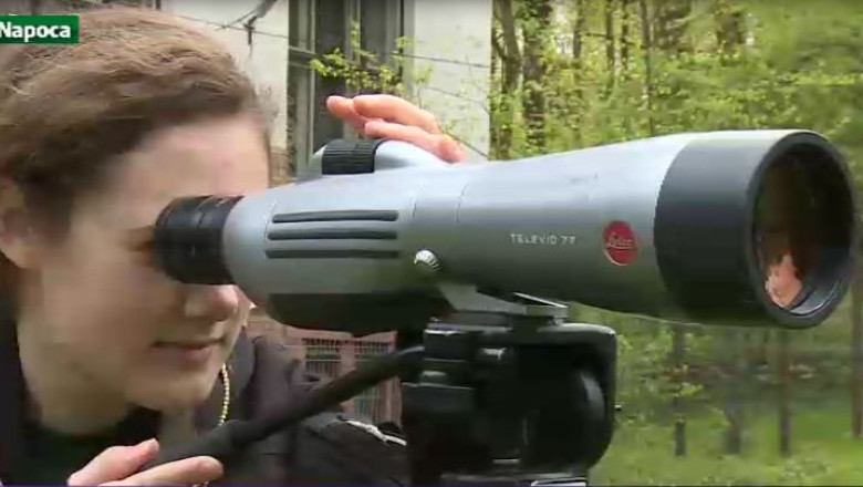 Birdwatching, o noua activitate in Romania Imagine