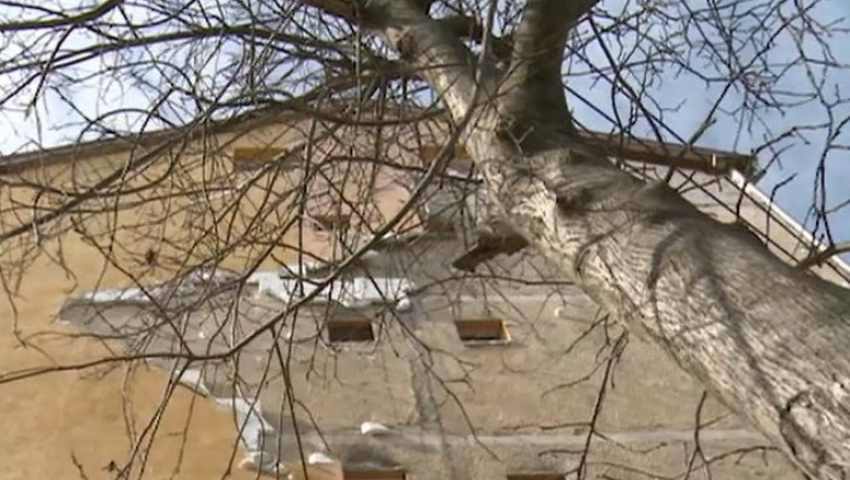 Blocuri fragile in fata vantului. Izolatia termica a unui imobil din Timisoara, smulsa de vijelie Imagine