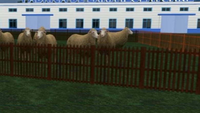 Blocurile ar putea fi anvelopate cu materiale izolante din lana de oaie Imagine