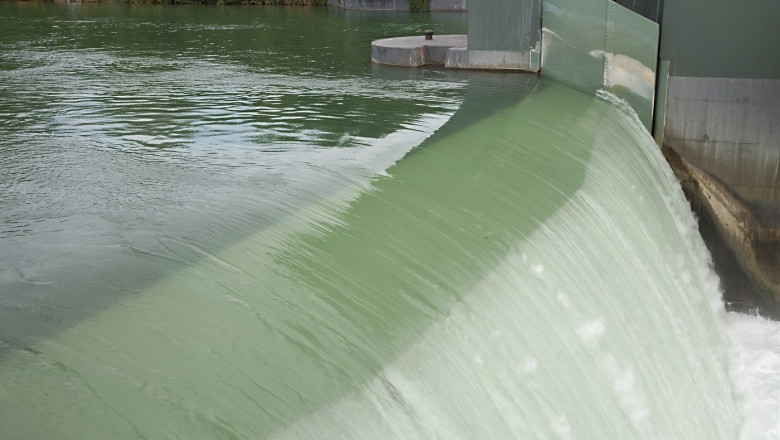 Bogdan Ivan: Avem blocaje la proiectele de hidrocentrale din cauza gandacilor si pestilor. Sunt aberatii. Voi merge in CSAT Imagine