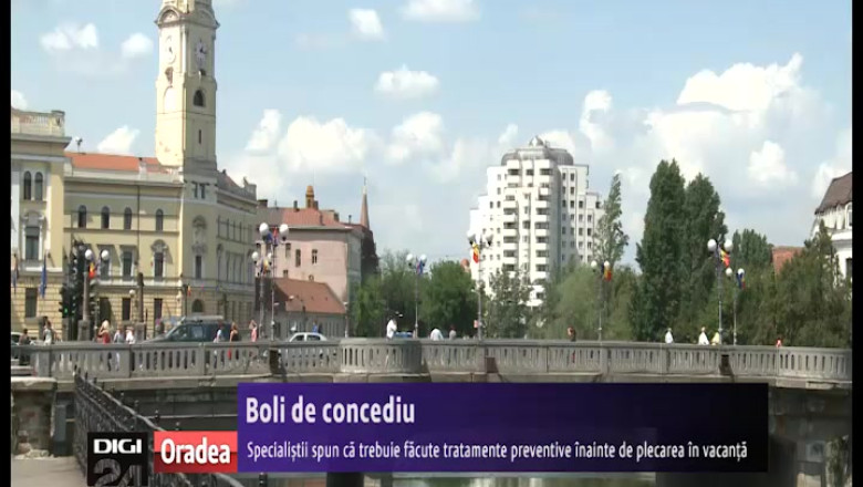 Boli de concediu Imagine