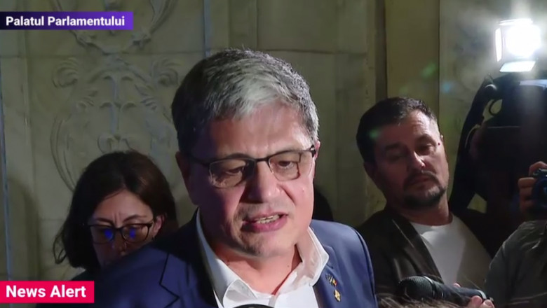 Bolos, despre amendamentul care viza Pilonul II: Sunt bazaconii, nu este un act oficial. Nu raspund de activitatile doamnei Pescaru Imagine