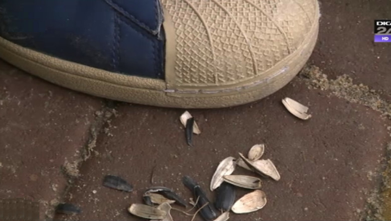 BONTON. Romanii, vicecampioni europeni la spart seminte, campioni la aruncat cojile pe strada Imagine