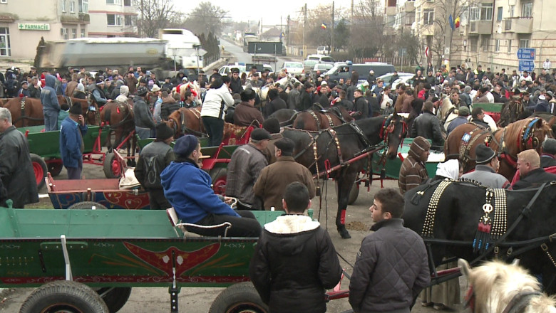 Botezul cailor la Kogalniceanu. Cei mai frumosi cai au fost premiati de Primarie Imagine