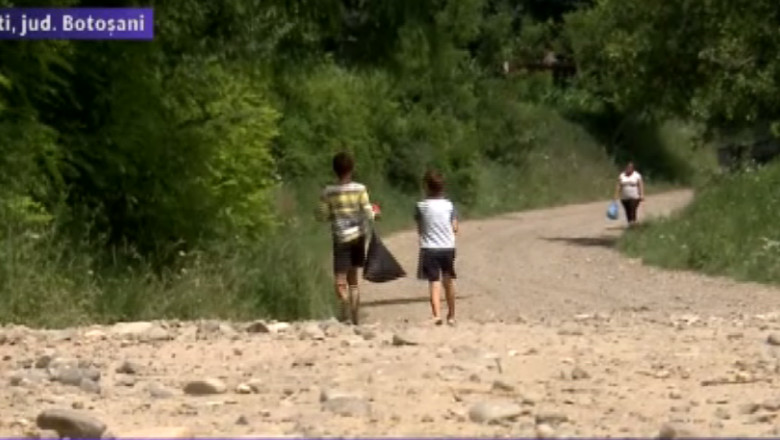 BOTOSANI. Transport in comun pe ulite Imagine
