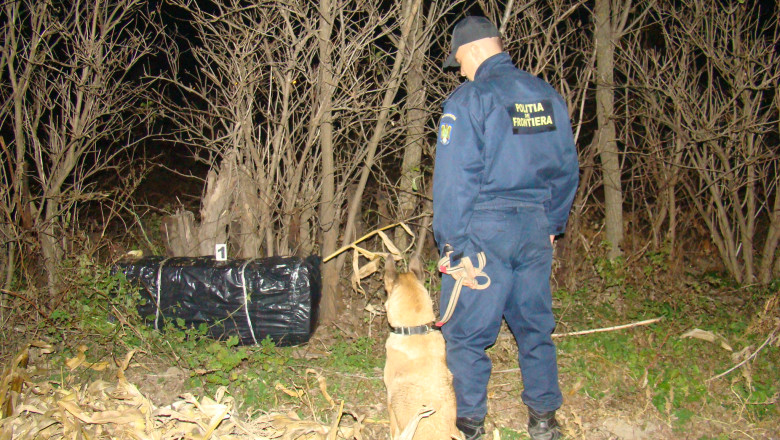 BOTOSANI. Un caine le-a dat de urma contrabandistilor de la Badiuti. Nira este caine de urma la Politia de Frontiera Imagine