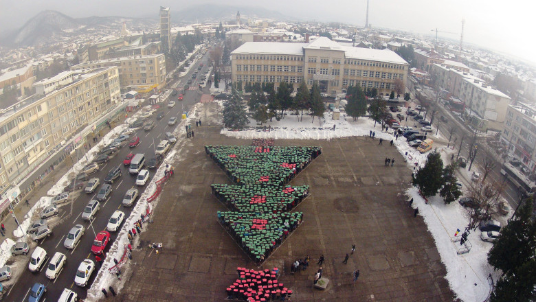 Brad de Cartea Recordurilor, in Baia Mare. 1200 de elevi vor sa depaseasca recordul unor copii din Thailanda Imagine