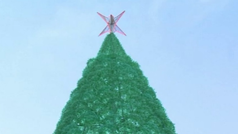 Brad de Craciun construit din 50.000 de sticle de plastic Imagine