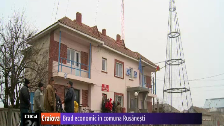 Brad economic in comuna Rusanesti, judetul Olt   Imagine