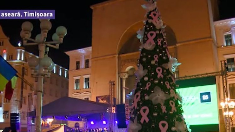 Brad impodobit cu... speranta. Ce va cer ambasadoarele campaniei Help25 Imagine