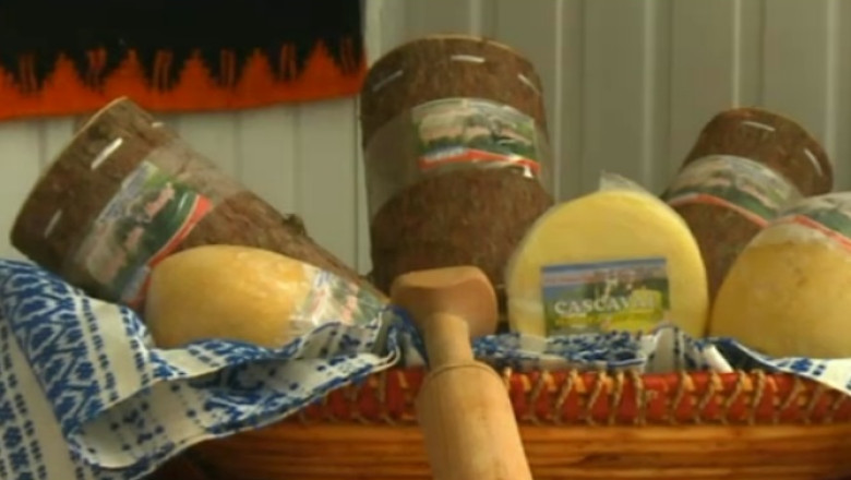 BRADUL CU POVESTI. Branza invelita in coaja de brad, delicatesa de pe vremea dacilor Imagine