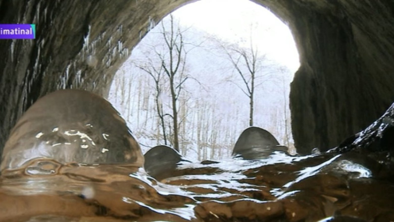 BRADUL CU POVESTI. O pestera cu cristale unice in Europa poate fi vizitata in Apuseni Imagine