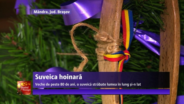 BRADUL CU POVESTI. Veche de peste 80 de ani, o suveica strabate lumea in lung si-n lat Imagine