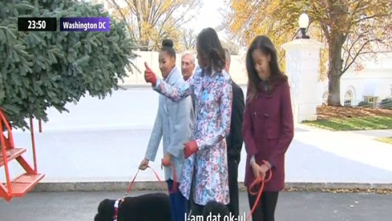 Bradul de Craciun a ajuns la Casa Alba Imagine