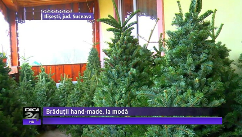 Braduti hand-made din resturi de cetina: doi localnici din Ilisesti, Suceava, confectioneaza pomi ieftini pentru Craciun Imagine