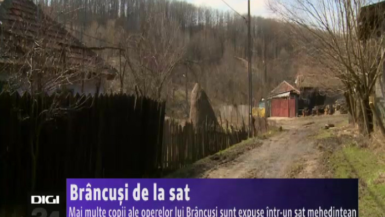 Brancusi de la sat. Mai multe copii ale operelor lui Brancusi sunt expuse intr-un sat mehedintean Imagine