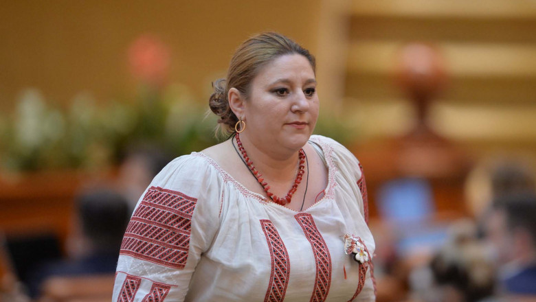 „Bravo mie!” Sosoaca sustine ca a ajuns sa influenteze agenda politica din UE, dupa ce a fost respinsa de partidul extremist german AfD Imagine