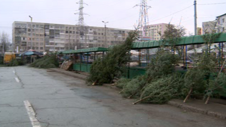 Brazii de Craciun vor sfarsi pe foc Imagine