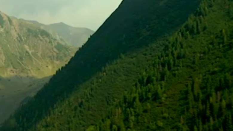 Britanicul din spatele documentarelor „Wild Carpathia” crede ca Romania este cea mai frumoasa tara din Europa Imagine