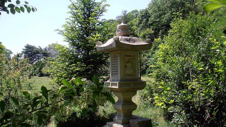 Bucuresti. Tratamentele contra tantarilor in parcuri vor fi facute pana in octombrie Imagine