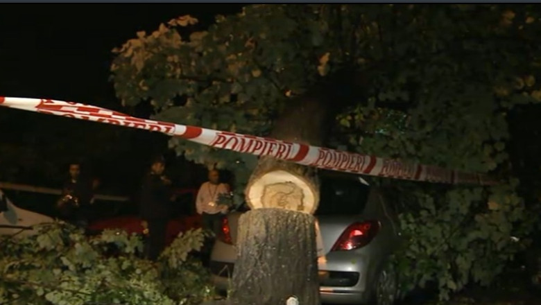 Bucuresti. Trei masini au fost avariate de copaci cazuti Imagine