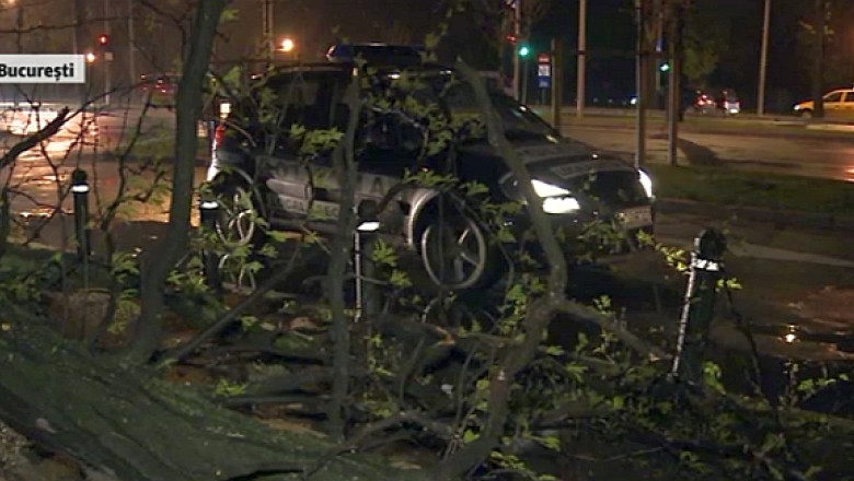 Bucuresti: Un copac a cazut peste un adolescent. Tanarul are multiple fracturi Imagine