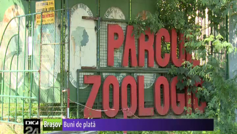 Buni de plata Imagine