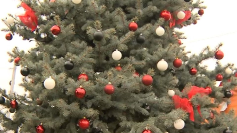 BUSINESS CLUB. Cum puteti cumpara brazi in rate Imagine