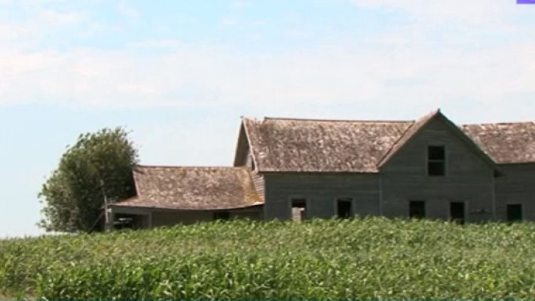 BUSINESS CLUB. Mancare diluata: din cauza poluarii, alimentele vor avea mai putini nutrienti Imagine