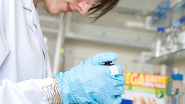 BUSINESS CLUB. Nestle isi testeaza produsele pe celule umane pentru a vedea in ce masura acestea ii imbolnavesc pe consumatori Imagine