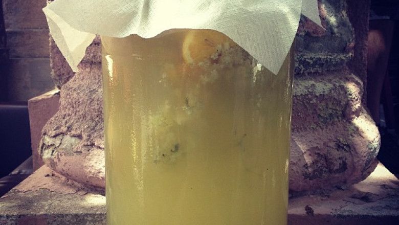 BUSINESS CLUB. Socata, marfa de export Imagine