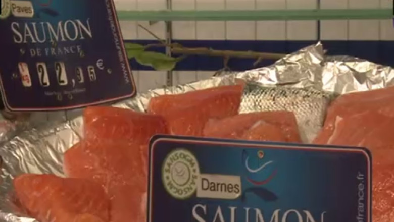 BUSINESS CLUB. Somonul modificat genetic ar putea ajunge pe farfurie Imagine