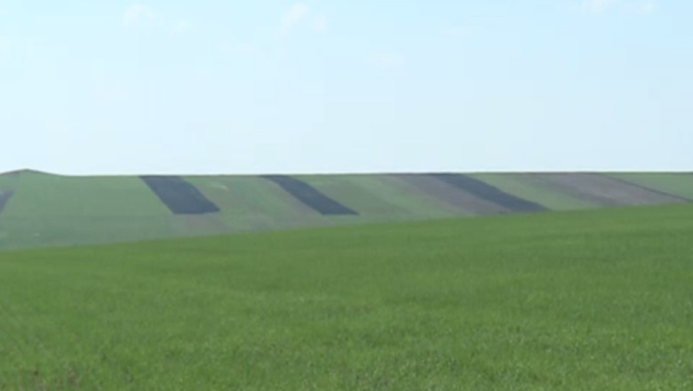 BUSINESS CLUB. Statul se vrea vanzator de terenuri Imagine