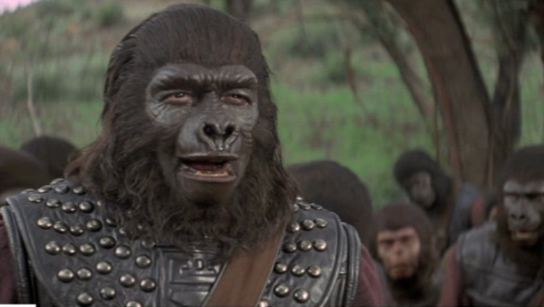CA-N FILME. Ce nu stiati despre „Planet of the Apes”. Actorul care pleca de la filmari in costumul de maimuta Imagine